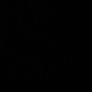 Meet your Posher, Allie